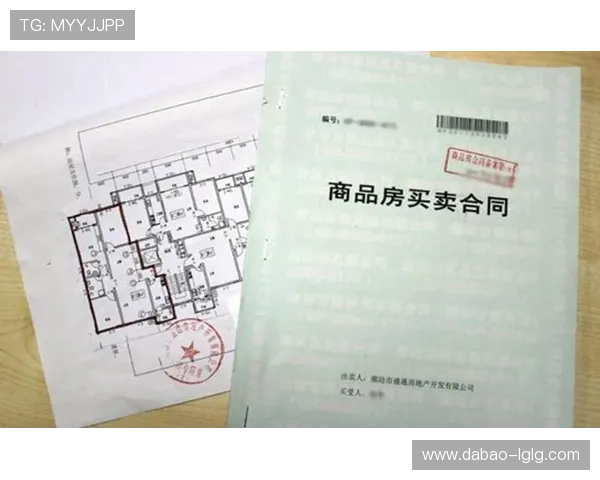 如何顺利完成发发平台注册的步骤与注意事项